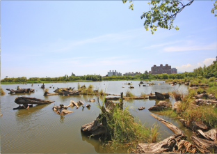 羅東林業文化園區